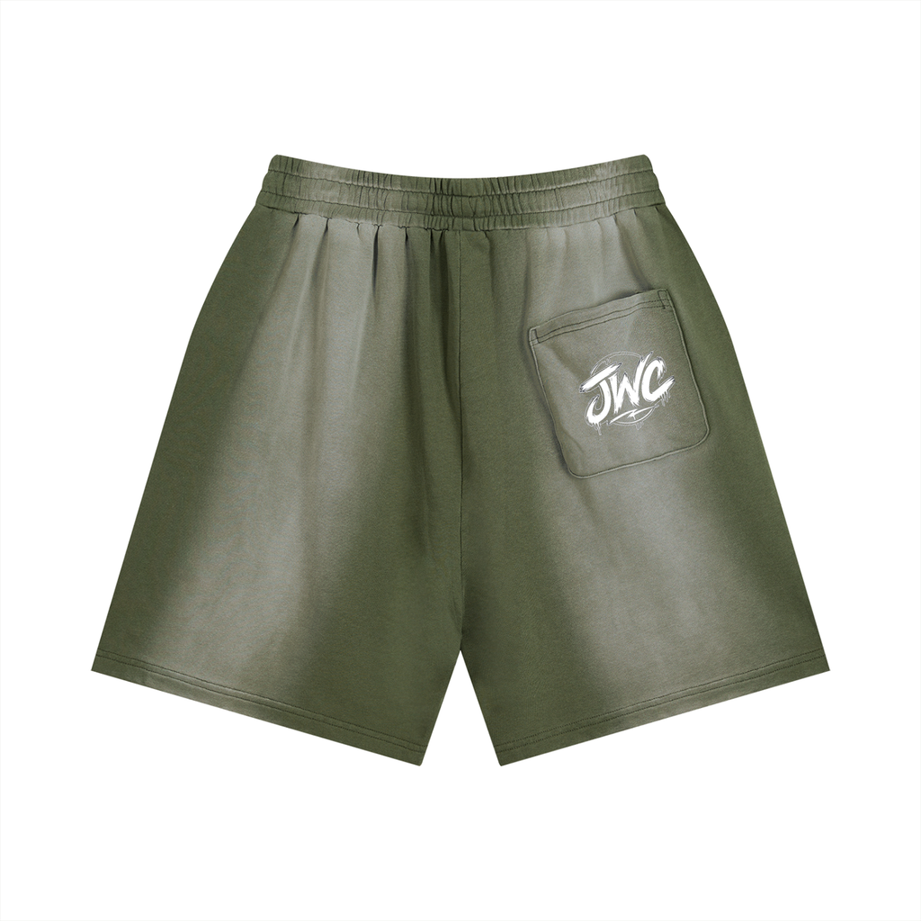 Sun Fade Distressed Shorts